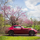Image for article titled The Best Jalopnik Photography Of 2017